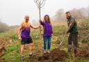 The Eden Project plants 1,400 trees to celebrate marathon runners