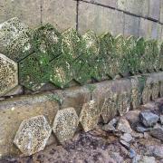 Tiles installed at Falmouth Harbour to boost marine life