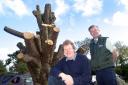 Landmark Lelant tree to become art feature