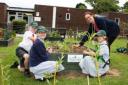 School pupils with horticulture lecturer Sarah Chafer