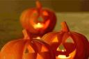 Hallowe'en round up - where to go and what to do