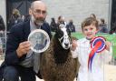 Champion Sheep Young Handler - Oliver Reeves