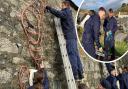 Sailors from RNAS Culdrose help to erect Cadgwith's Christmas lights