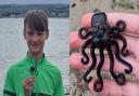 Liutauras, 13, recently found the ‘holy grail’ of Lego pieces in Cornwall - an octopus