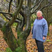 Town Councillor Sarah Thomson has helped secure funding for a tree-planting programme