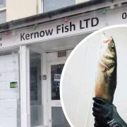 Jace Bowden has opened Kernow Fish LTD in Helston