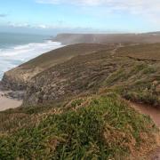 View of the newly registered common land from just north of Porthtowan