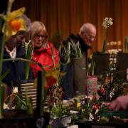 The atmosphere was buzzing at the Falmouth Spring Flower Show