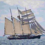 Tall Ship Profile: Gulden Leuw