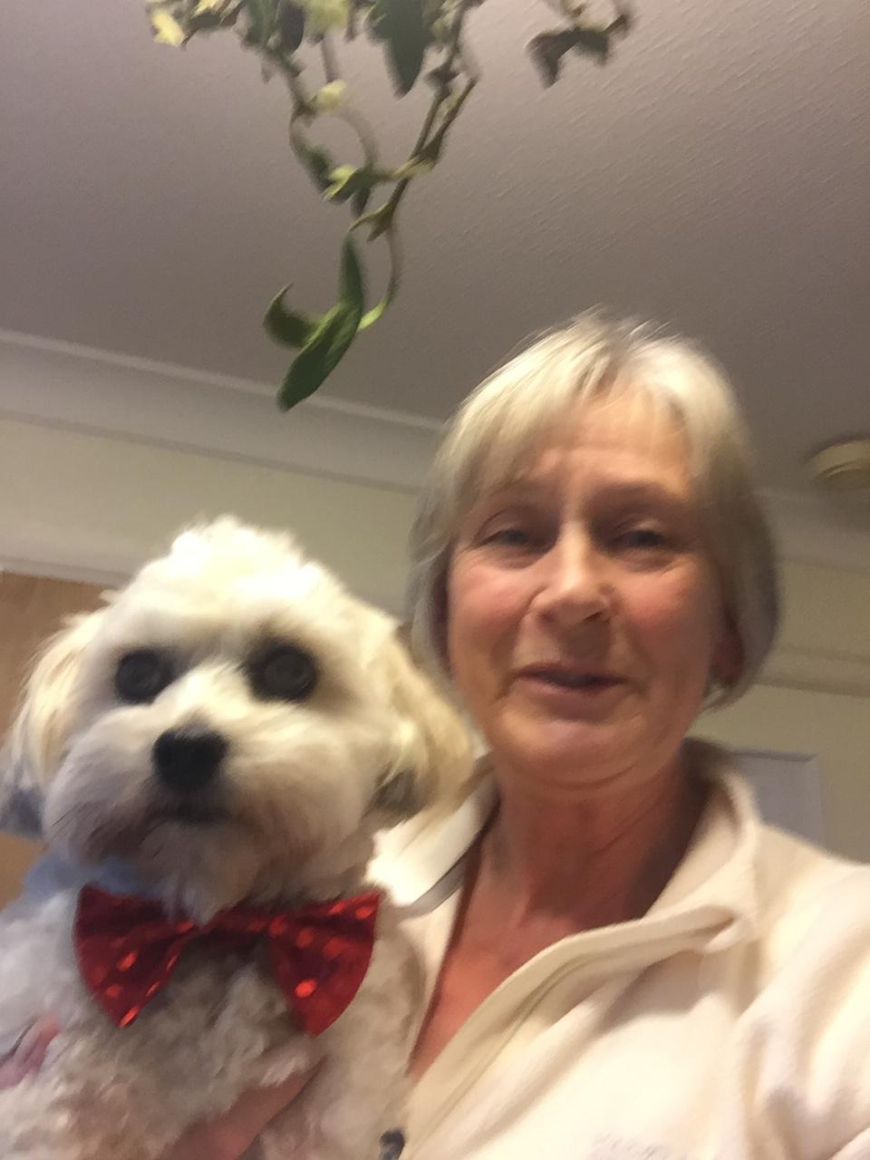 Cllr Trish Minson and Ted under the Mistletoe