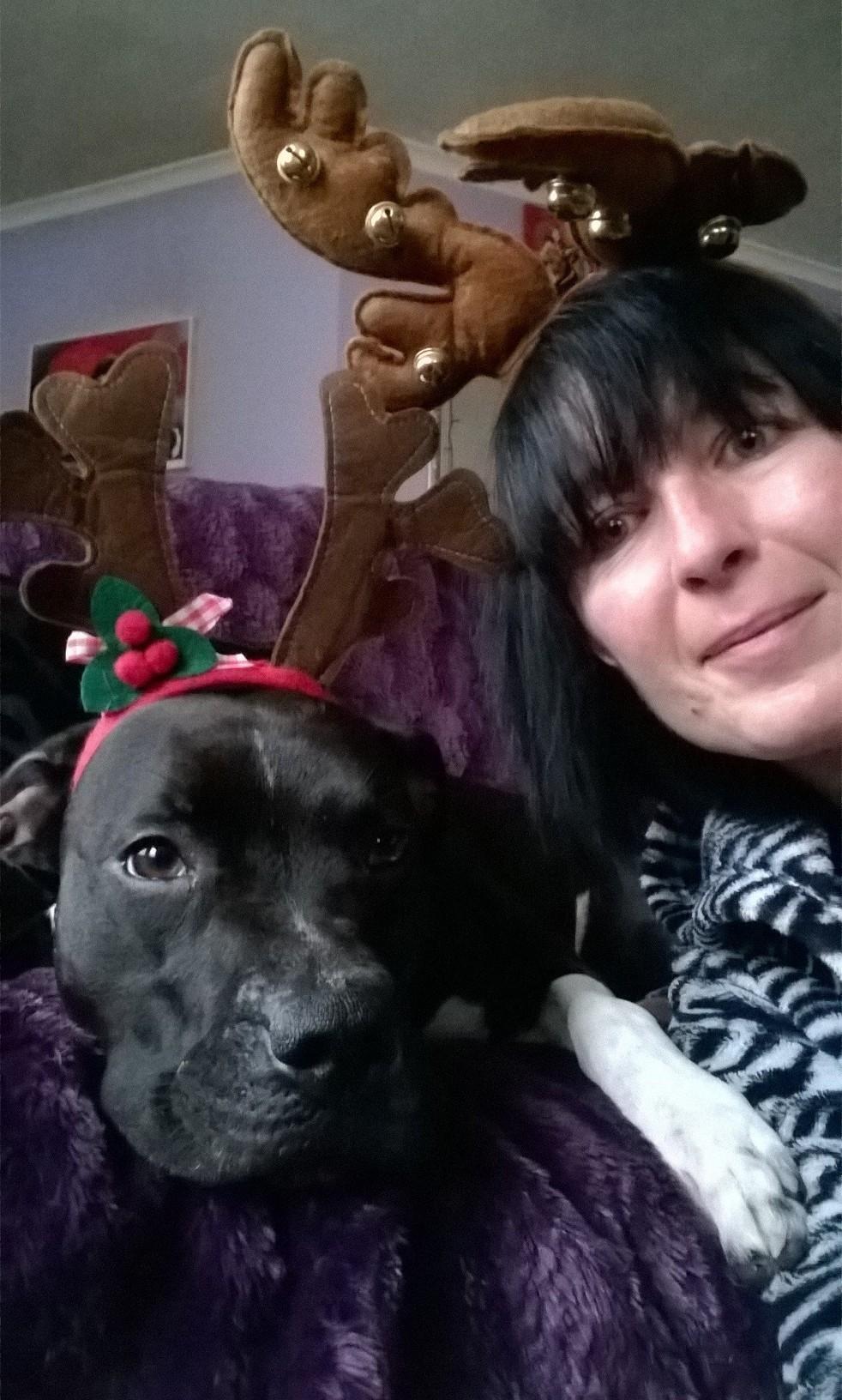 Cheryl Mullane and Dexter the 'reindeer' staffy from Falmouth