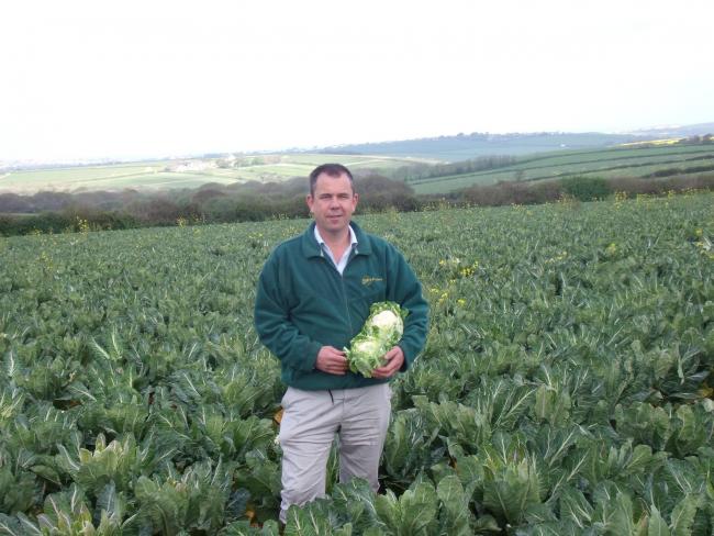 The Hayle-based farm started working with Aldi six years ago