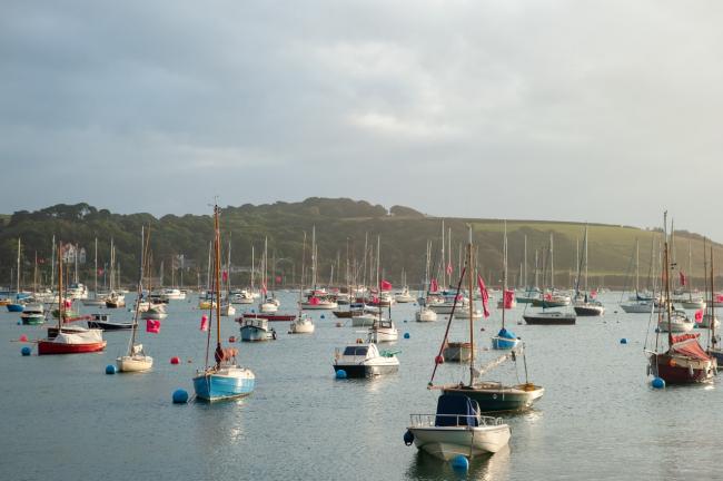 Pink flags left on Falmouth boats were by 'pirate rebels' in guerrilla protest