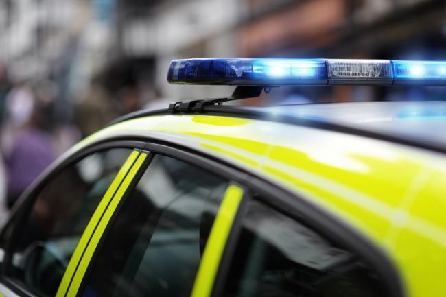 Devon and Cornwall Police received over 800 Covid related reports