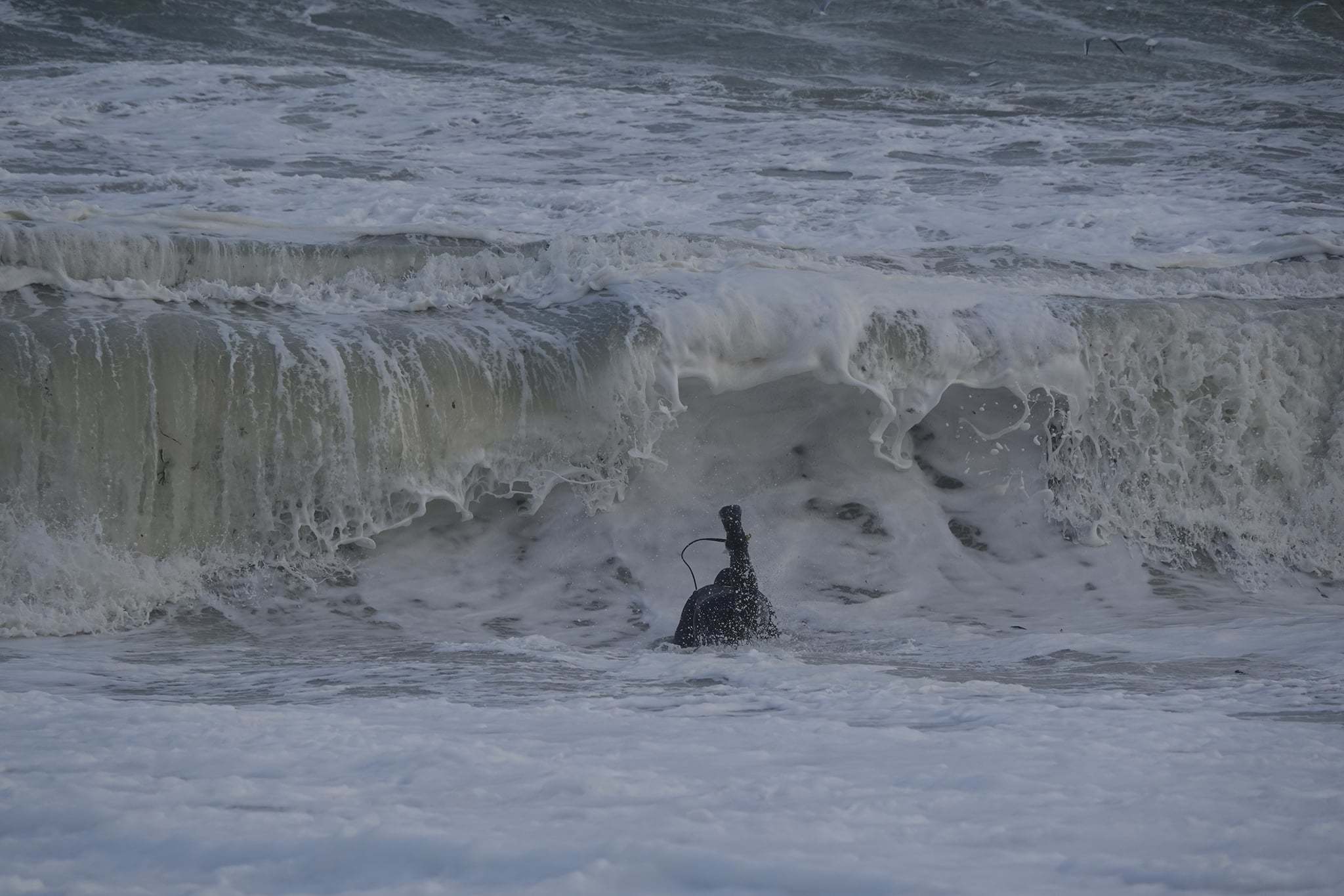 A surfer in churned up sea at Gyllyngvase Beach Picture: Sandra Roskruge