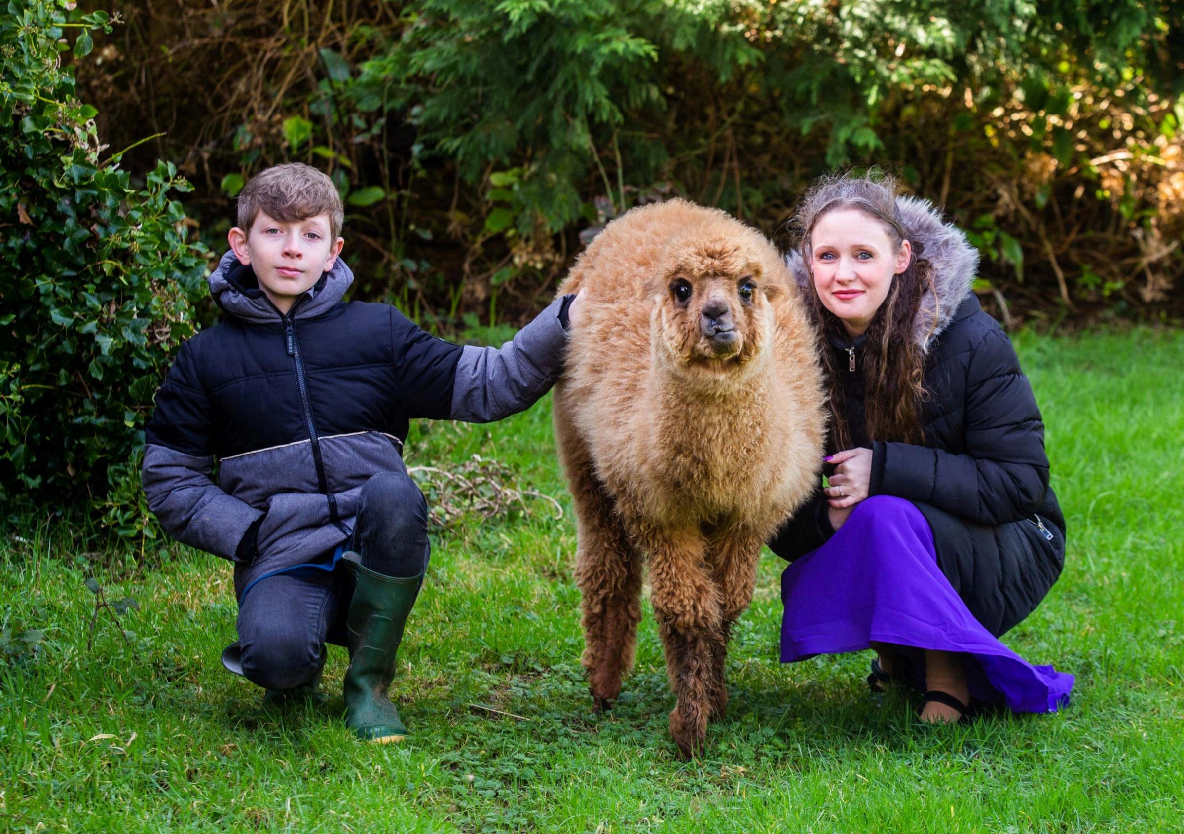 Celestine Ward with her son Casper aged 11, and his pet alpaca called Tea Picture: SWNS