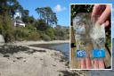 The 1980s crisp packet found intact on Bar Beach near Helford Passage. Main image (from file): Rod Allday