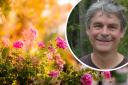 An internationally-renowned garden designer will be giving lectures in Cornwall at the start of December.