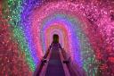 This year’s edition of the popular event will again centre around the UK’s longest indoor tunnels of Christmas lights.