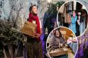 The Narnia Experience has opened in Helston at the Central Methodist Church
