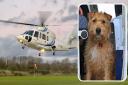 Penzance Helicopters have launched dog friendly helicopter flights, described as a UK first
