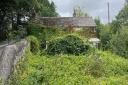 A bidding war broke out for the overgrown house at Trewennack