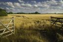 Open farm gate, stock image.