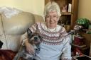 Jan Salmon is happier now her Westies are safe after she claims they were chased by Alsatians (Image: Lee Trewhela / LDRS)