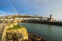 Porthleven environmental group made the appeal on Facebook