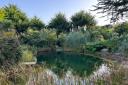 The annual showcase of private wildlife gardens across the region gives rare access to stunning yet hidden landscapes
