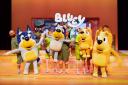 Bluey's Big Play live stage show has come to the Hall for the Cornwall