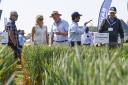 The Cereals Event is held on 11 and 12 June in Hertfordshire