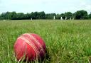 Cornwall's cricket round up