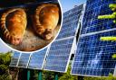 Cornish Premier Pasties has committed to reducing its carbon emissions by investing in solar power
