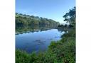 Mylor Creek is an area of outstanding natural beauty