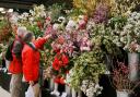 Thousands defied Storm Kathleen to enjoy the Cornwall Garden Society's Spring Flower Show