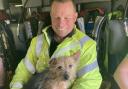 Firefighter James Trounson has adopted a dog found next to its owner