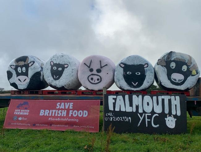 The models include a cow, sheep and a pig. Picture: FalmouthYFC