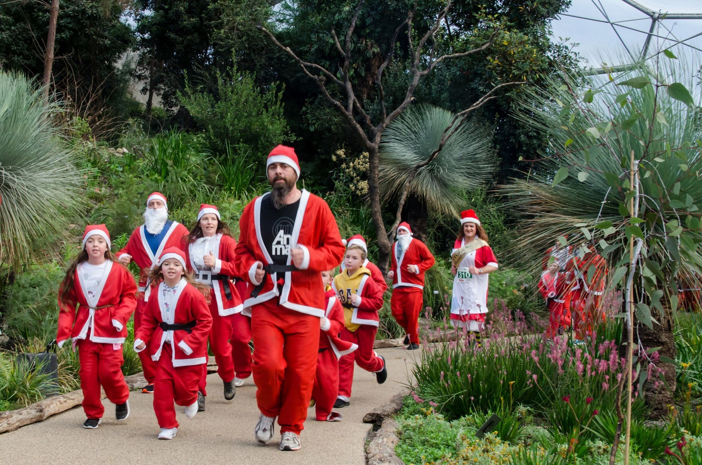 Santas will run through the biomes Picture: Splinter Photographic