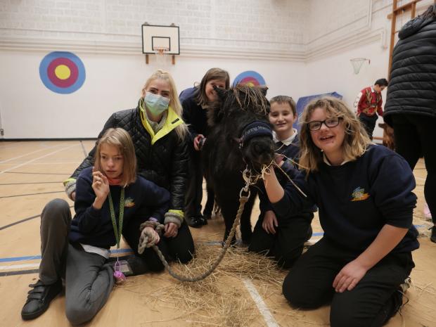 Falmouth Packet: Sarah Baker from Family Nest Therapy and therapy pony Sven meeting pupils from Pencalenick School, Truro.