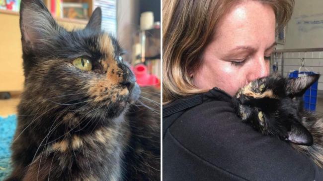 Carly Jose with cat Mimi who was killed by a hound  Picture: SWNS