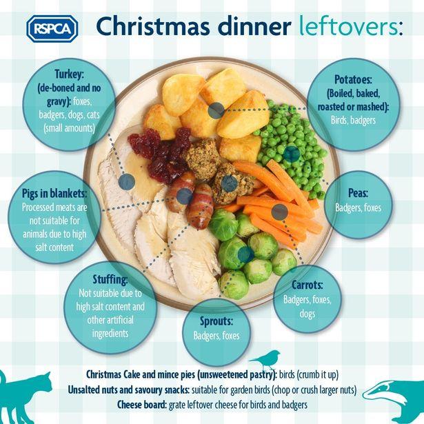 Falmouth Packet: Some Christmas dinner leftovers can be hazardous to pets. Picture: RSPCA