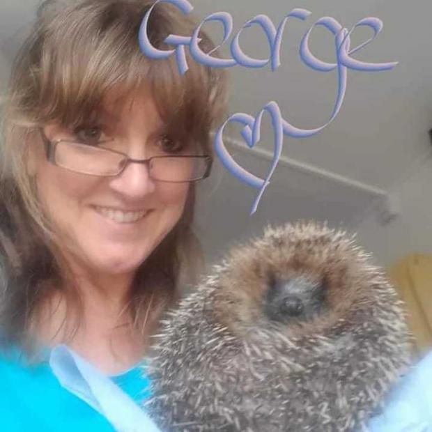Falmouth Buckets: Tracy and her prickly boyfriend, George. 