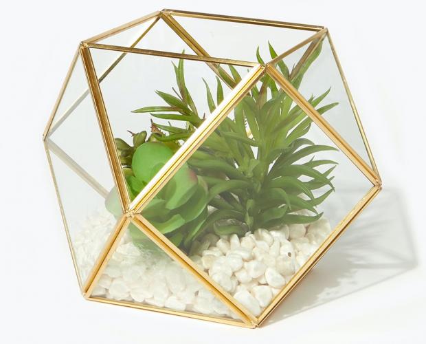 Falmouth Packet: Succulents in Hexagonal Planter is available via Matalan. Picture: Matalan