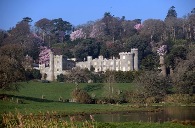 Falmouth Packet: Caerhays Castle and Spring Gardens will be reopening for the first time in three years