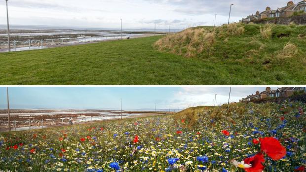 Falmouth Packet: The partnership will also see wildflowers sown in Morecambe, home of the new Eden Project North