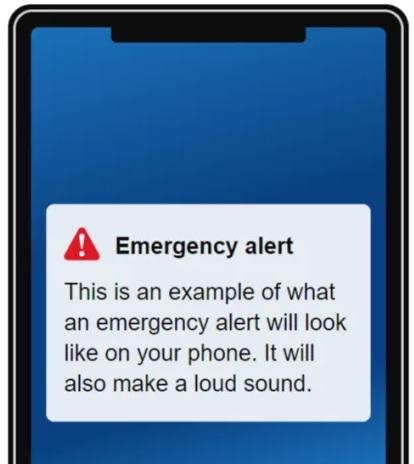 Falmouth Packet: What a government emergency alert will look like. Picture: gov.uk