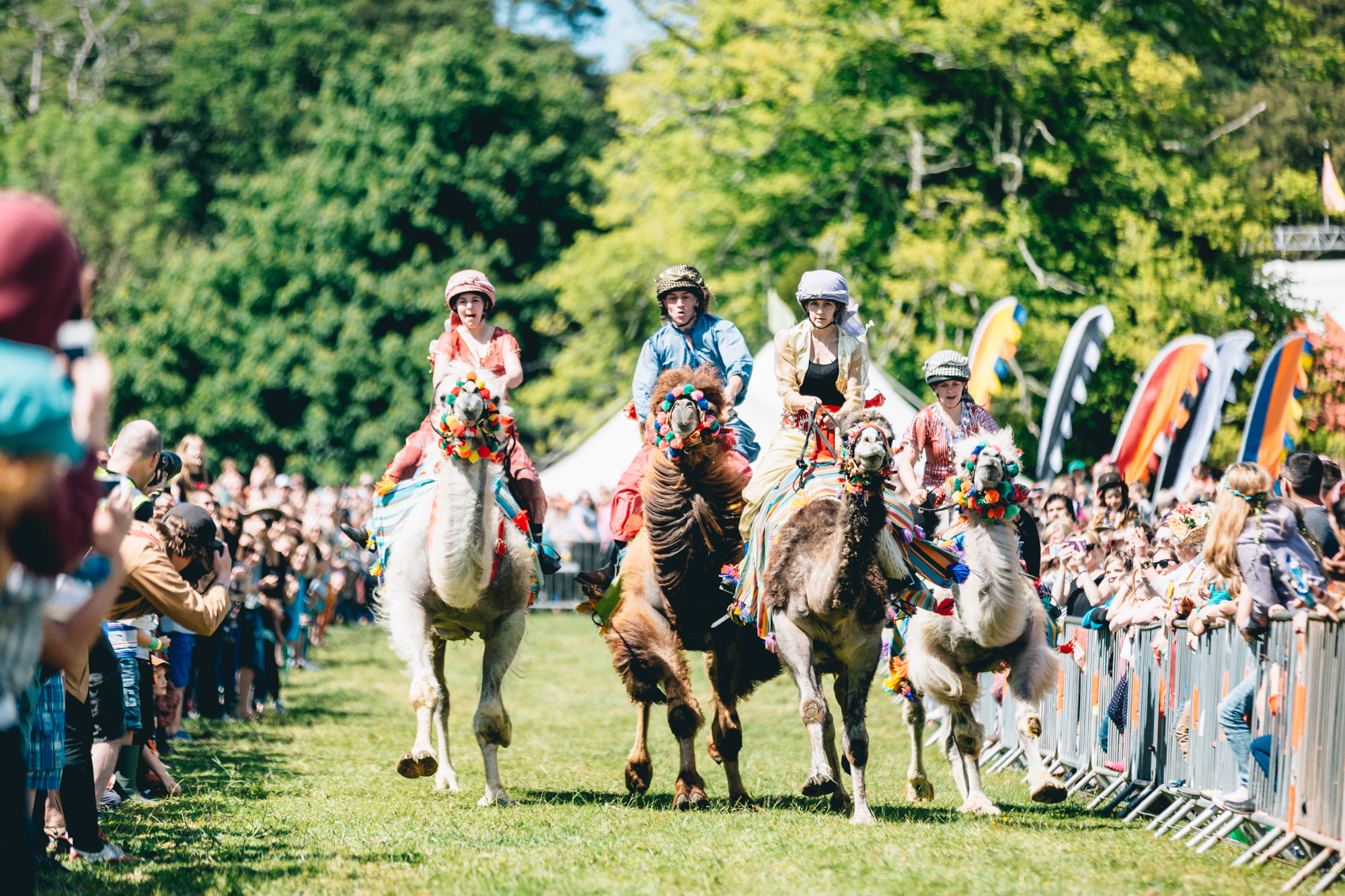 Camel racing at Great Estate Festival 2021. Photo: Lewis Harrison-Pinder