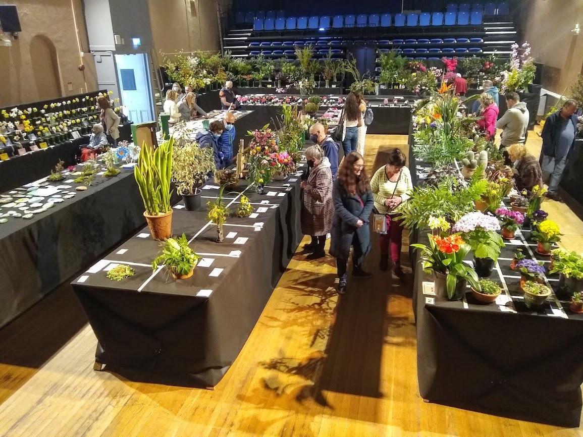 The Spring flower show was recently held at the pavilion