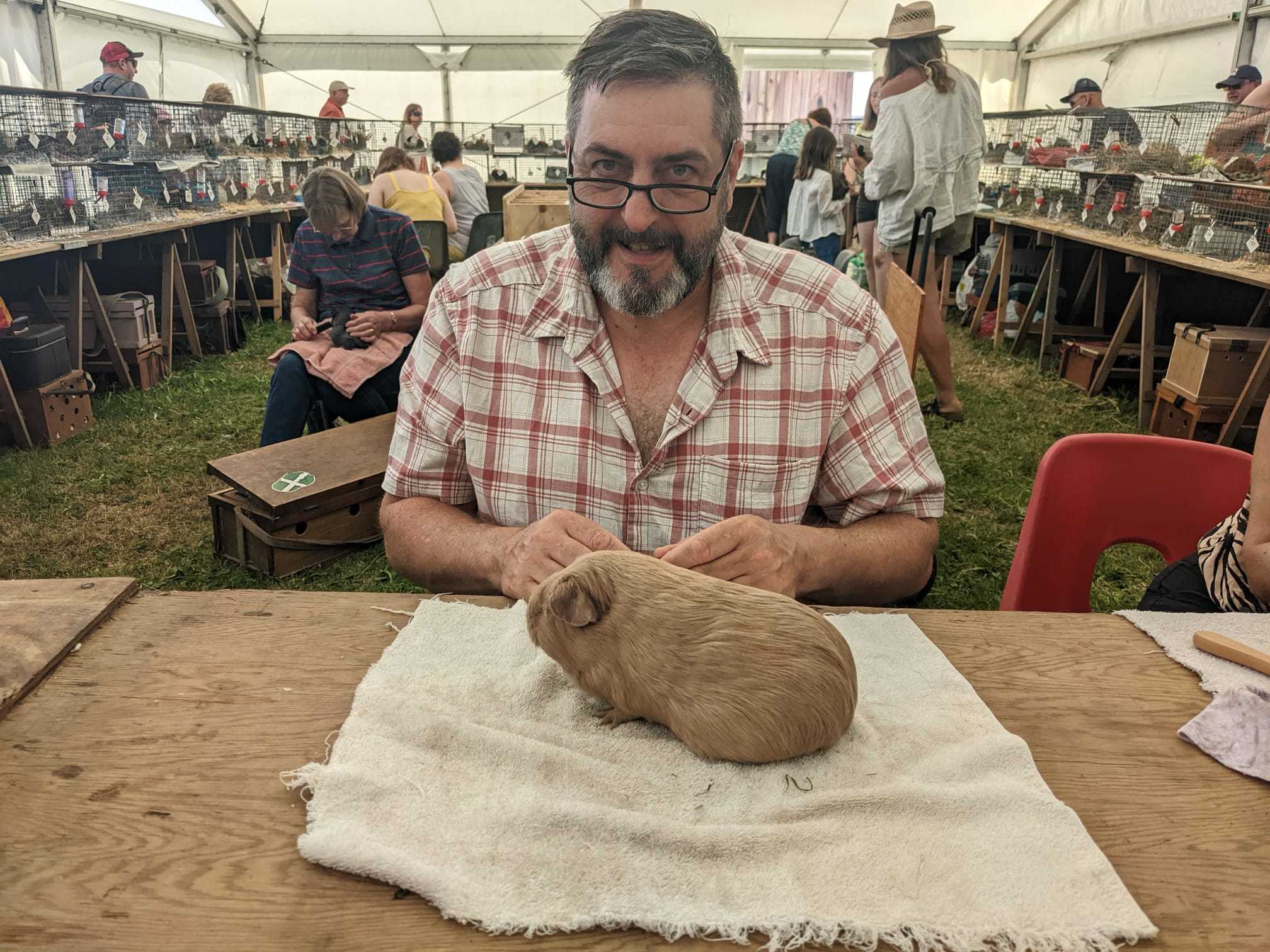 Julian Webster from Taunton grooming his Guinea Pig, Cookie